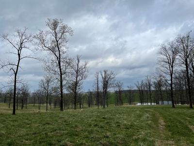 Large Cattle Ranch For Sale In Southern Missouri - image 12