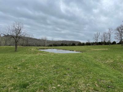 Large Cattle Ranch For Sale In Southern Missouri - image 20