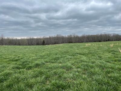 Large Cattle Ranch For Sale In Southern Missouri - image 6