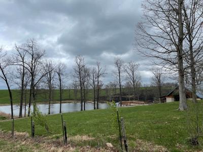 Large Cattle Ranch For Sale In Southern Missouri - image 14