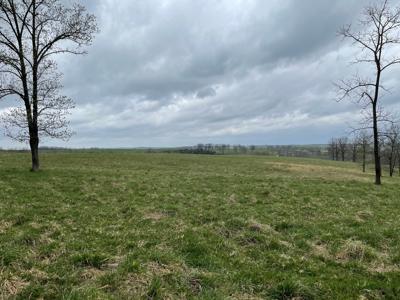 Large Cattle Ranch For Sale In Southern Missouri - image 13