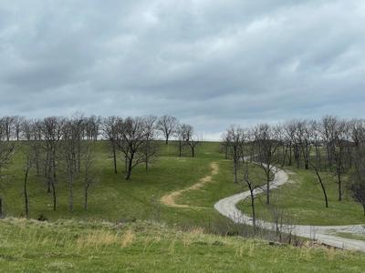 Large Cattle Ranch For Sale In Southern Missouri - image 18