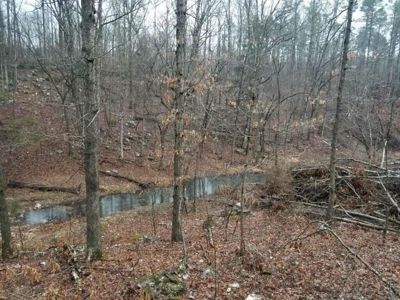 Prime Hunting Land For Sale in Alton, MO - image 2