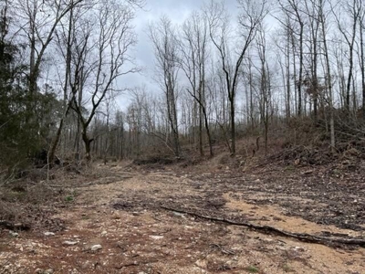 Prime Hunting Land For Sale in Alton, MO - image 10