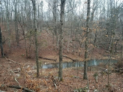 Prime Hunting Land For Sale in Alton, MO - image 5