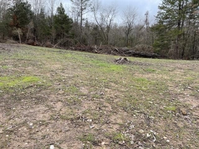 Prime Hunting Land For Sale in Alton, MO - image 7