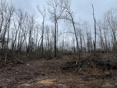 Prime Hunting Land For Sale in Alton, MO - image 9