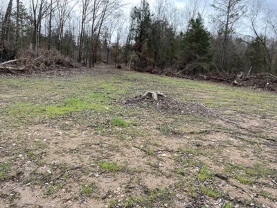 Prime Hunting Land For Sale in Alton, MO - image 6