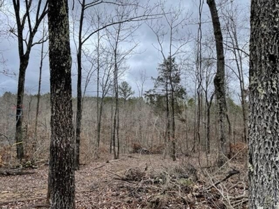 Prime Hunting Land For Sale in Alton, MO - image 8