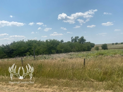 306 acres m/l Grazing Land for Sale in Meade County, KS - image 2