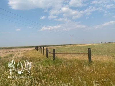 306 acres m/l Grazing Land for Sale in Meade County, KS - image 14