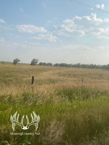 306 acres m/l Grazing Land for Sale in Meade County, KS - image 5
