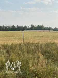 306 acres m/l Grazing Land for Sale in Meade County, KS - image 9