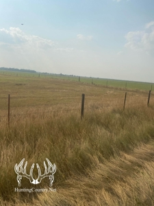 306 acres m/l Grazing Land for Sale in Meade County, KS - image 3