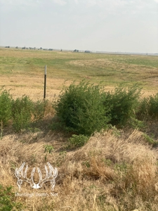 306 acres m/l Grazing Land for Sale in Meade County, KS - image 11