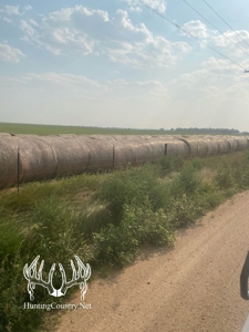 306 acres m/l Grazing Land for Sale in Meade County, KS - image 4