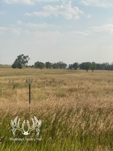 306 acres m/l Grazing Land for Sale in Meade County, KS - image 6