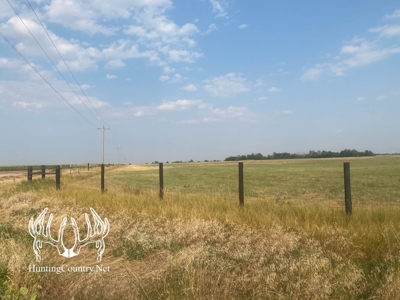 306 acres m/l Grazing Land for Sale in Meade County, KS - image 15