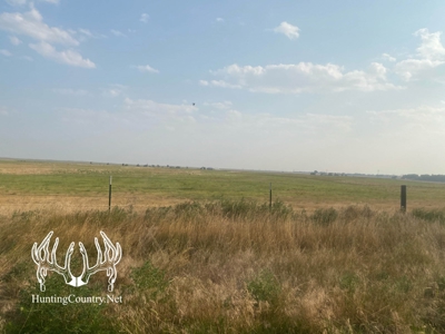 306 acres m/l Grazing Land for Sale in Meade County, KS - image 16