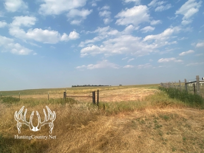 306 acres m/l Grazing Land for Sale in Meade County, KS - image 13