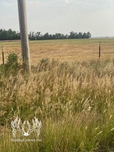 306 acres m/l Grazing Land for Sale in Meade County, KS - image 10