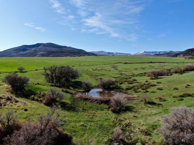 Western Colorado land for sale, irrigated ranchland for sale - image 4