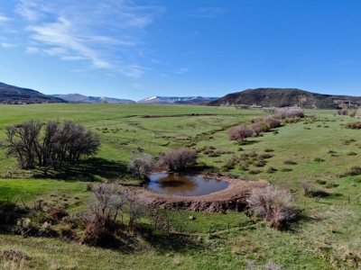 Western Colorado land for sale, irrigated ranchland for sale - image 2