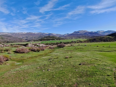 Western Colorado land for sale, irrigated ranchland for sale - image 5