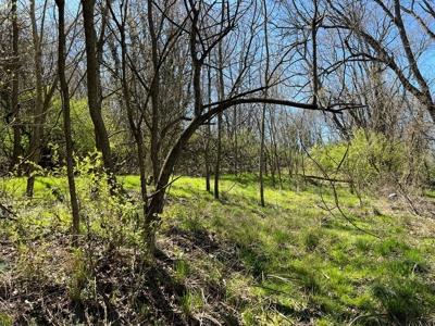 Residential Lot for Sale in Bristol VA - image 7