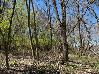 Residential Lot for Sale in Bristol VA - image 3