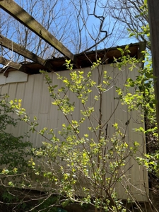 Residential Lot for Sale in Bristol VA - image 5