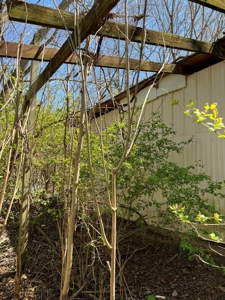 Residential Lot for Sale in Bristol VA - image 4
