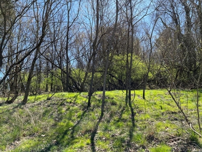 Residential Lot for Sale in Bristol VA - image 1