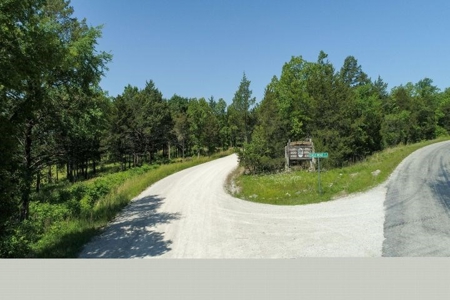 Lot in Gated Community in the Ozarks on Bull Shoals Lake - image 8