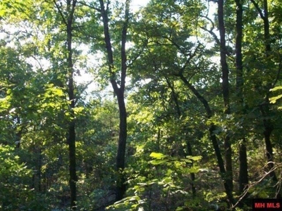 Lot in Gated Community in the Ozarks on Bull Shoals Lake - image 9