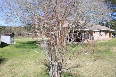 38.93 Acres Pastureland, 3 Bed/1 Bath Home for Sale SW MS - image 24
