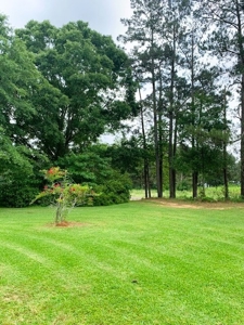 38.93 Acres Pastureland, 3 Bed/1 Bath Home for Sale SW MS - image 21