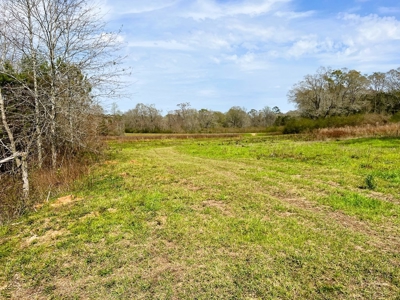 38.93 Acres Pastureland, 3 Bed/1 Bath Home for Sale SW MS - image 36