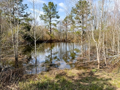38.93 Acres Pastureland, 3 Bed/1 Bath Home for Sale SW MS - image 33
