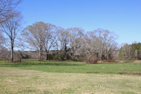38.93 Acres Pastureland, 3 Bed/1 Bath Home for Sale SW MS - image 30