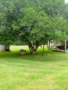 38.93 Acres Pastureland, 3 Bed/1 Bath Home for Sale SW MS - image 19