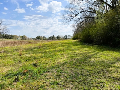 38.93 Acres Pastureland, 3 Bed/1 Bath Home for Sale SW MS - image 39