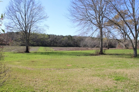 38.93 Acres Pastureland, 3 Bed/1 Bath Home for Sale SW MS - image 32