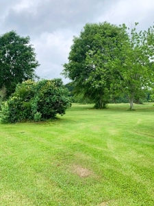 38.93 Acres Pastureland, 3 Bed/1 Bath Home for Sale SW MS - image 17