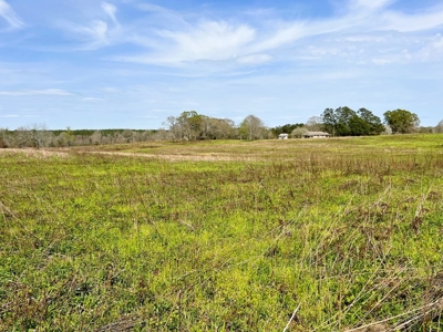 38.93 Acres Pastureland, 3 Bed/1 Bath Home for Sale SW MS - image 38