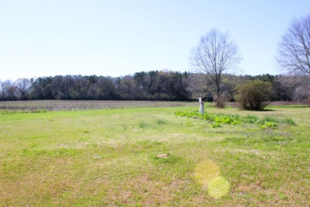 38.93 Acres Pastureland, 3 Bed/1 Bath Home for Sale SW MS - image 37