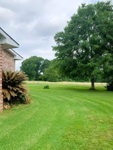 38.93 Acres Pastureland, 3 Bed/1 Bath Home for Sale SW MS - image 20