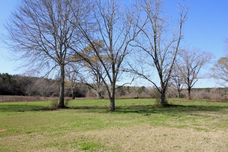 38.93 Acres Pastureland, 3 Bed/1 Bath Home for Sale SW MS - image 31
