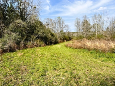 38.93 Acres Pastureland, 3 Bed/1 Bath Home for Sale SW MS - image 40