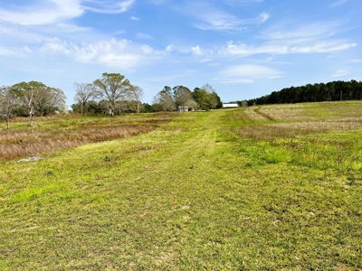 38.93 Acres Pastureland, 3 Bed/1 Bath Home for Sale SW MS - image 41